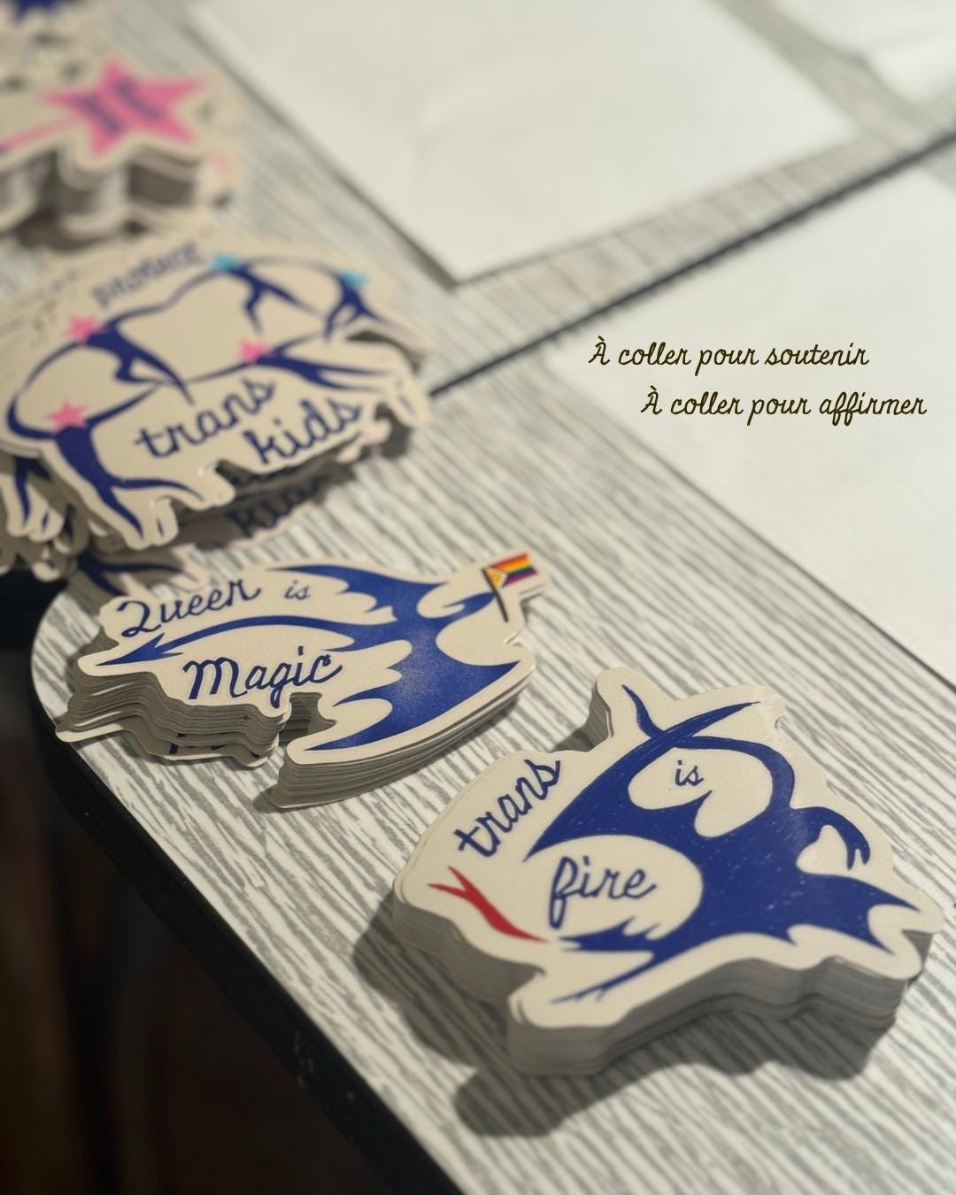 Pack Trans Future ✶ Planche d'autocollants